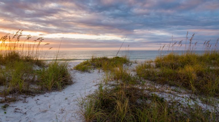 Best Beaches Near Tampa, FL - Hideaway Storage Blog Site
