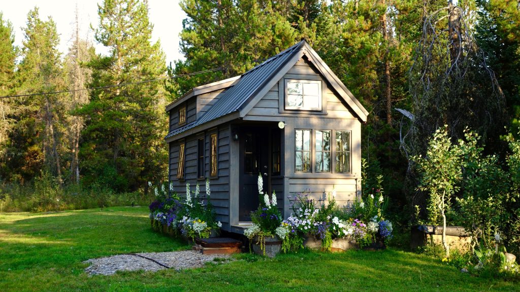 Tiny home by trees with a lot of green grass surrounding it