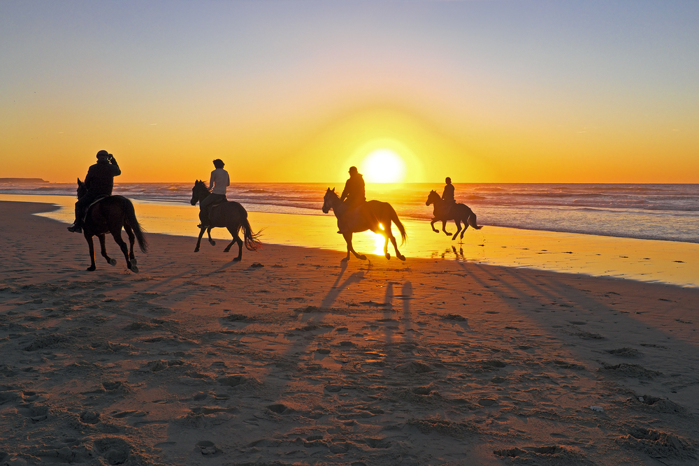 4 people riding horses on a beach during sunset